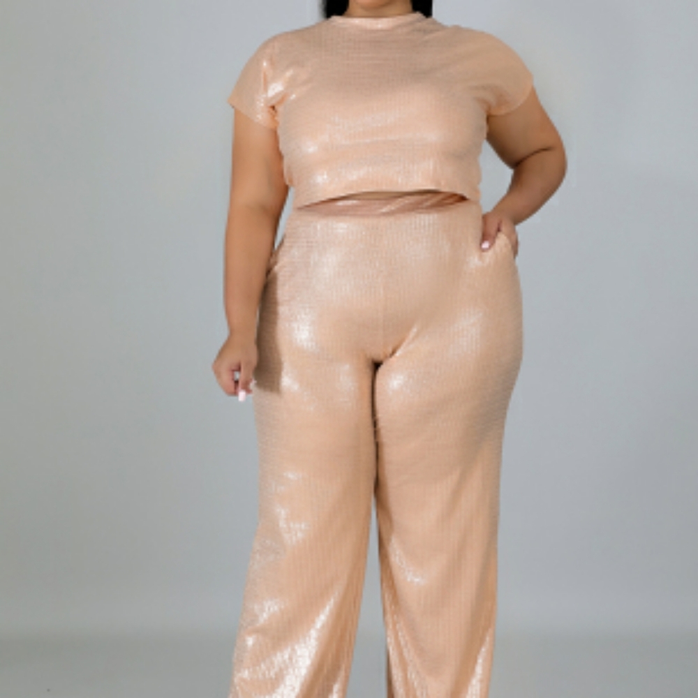 ❤️Gorgeous nude metallic two piece plus size set!
